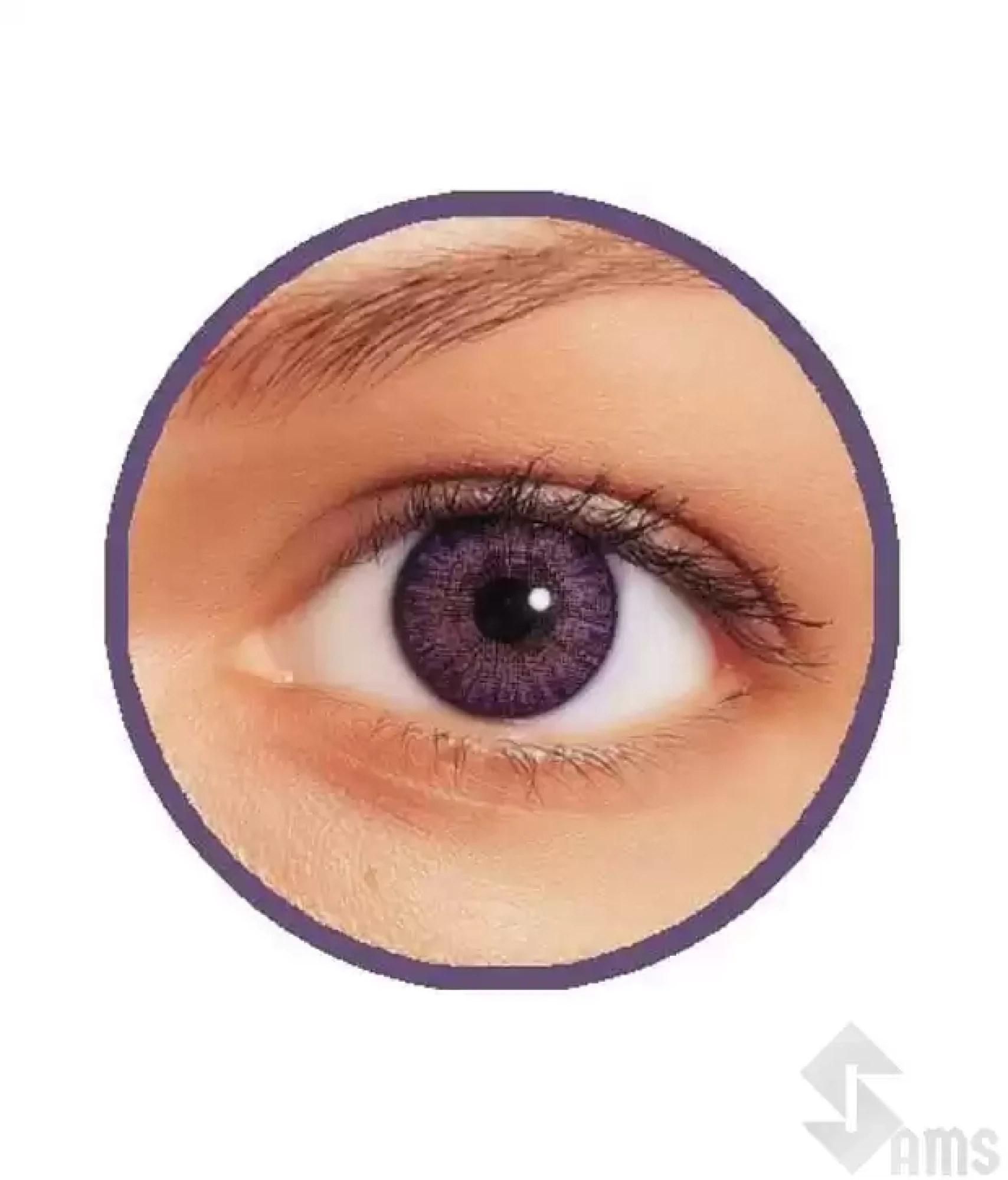 FreshLook-plano-2-lens- amethyst1.webp
